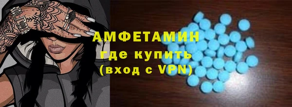 гидра Няндома