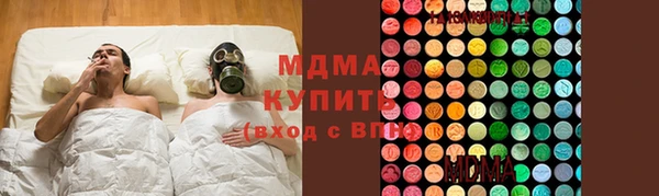 гидра Няндома