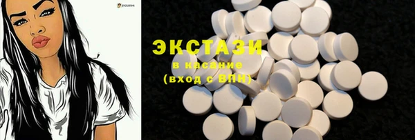 гидра Няндома