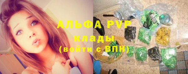 МДПВ Новодвинск